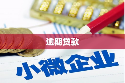 九龙城逾期贷款