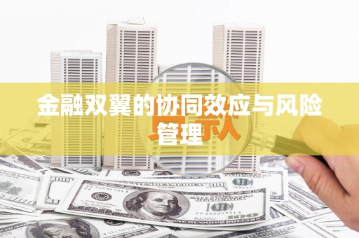 九龙城金融双翼的协同效应与风险管理