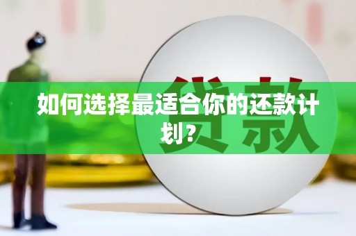 九龙城如何选择最适合你的还款计划？