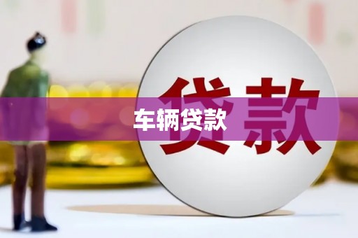 九龙城车辆贷款