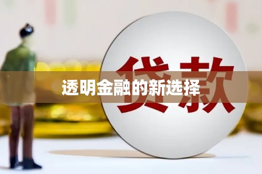 九龙城透明金融的新选择