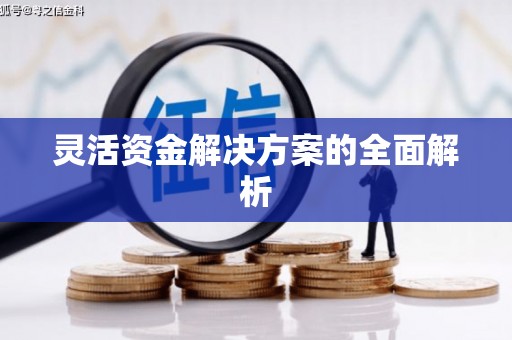 九龙城灵活资金解决方案的全面解析