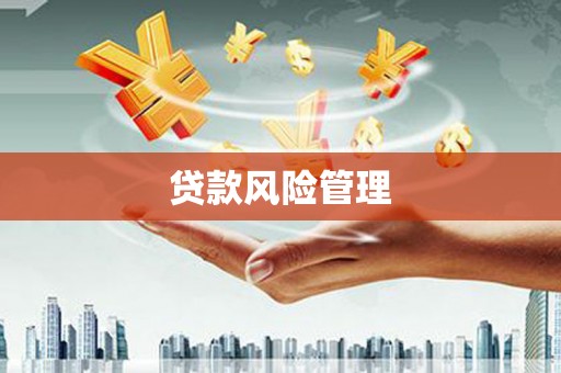 九龙城贷款风险管理
