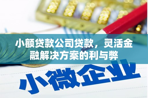 九龙城小额贷款公司贷款，灵活金融解决方案的利与弊