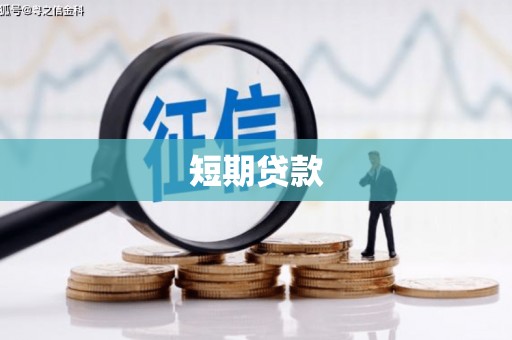九龙城短期贷款