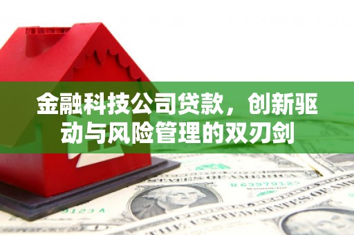 九龙城金融科技公司贷款，创新驱动与风险管理的双刃剑