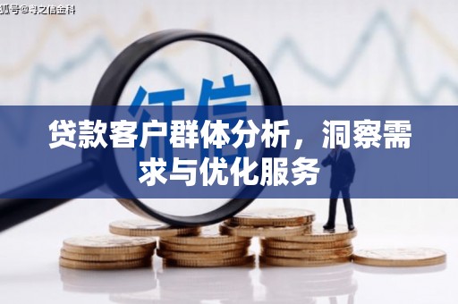 九龙城贷款客户群体分析，洞察需求与优化服务