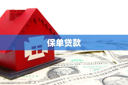 九龙城保单贷款